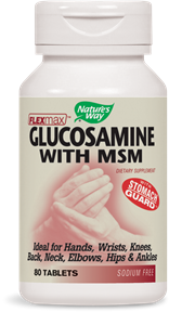 Glucosamine Sulfate Msm Nature S Way Glucosamine Sulfate Msm Nature S Way
