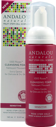Andalou Naturals Fruit Stem Cell Science Cleansing Foam Andalou Naturals Fruit Stem Cell Science Cleansing Foam