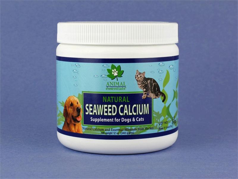 calcium supplements for dogs animal essentials inc seaweed calcium supplement for dogs cats 340 gm calcium supplements for dogs animal essentials inc seaweed calcium supplement for dogs cats 340 gm